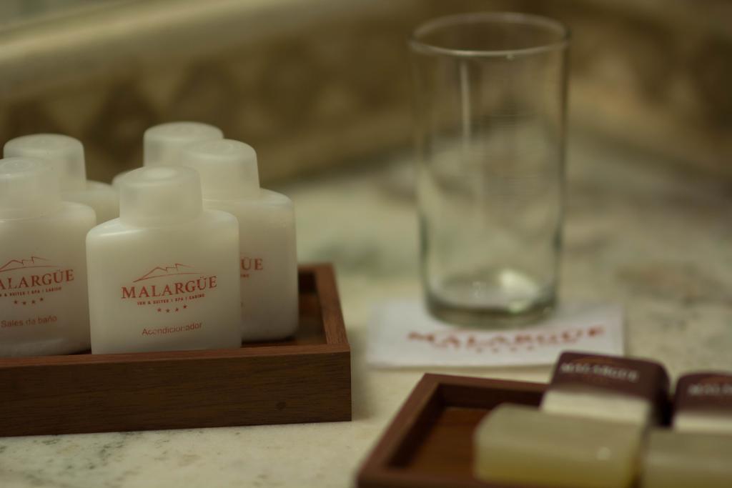 Hotel Malargüe Rum bild